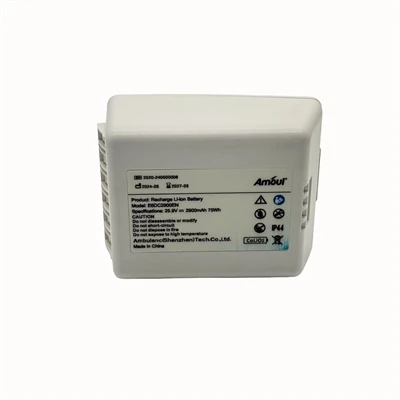 E6DC2900EN CPR baterija